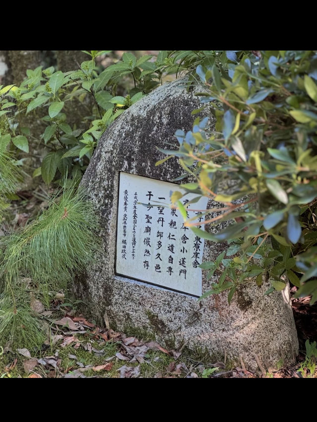 【多久聖廟】日本最古の孔子廟で、静寂と知の旅へ📚⛩️