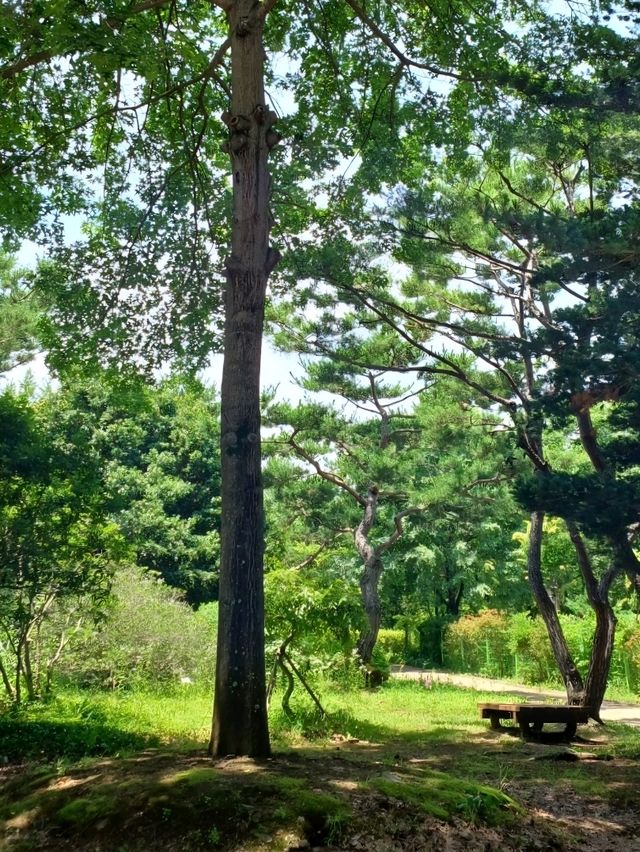 숲길 위의 산책, 진주 수목원