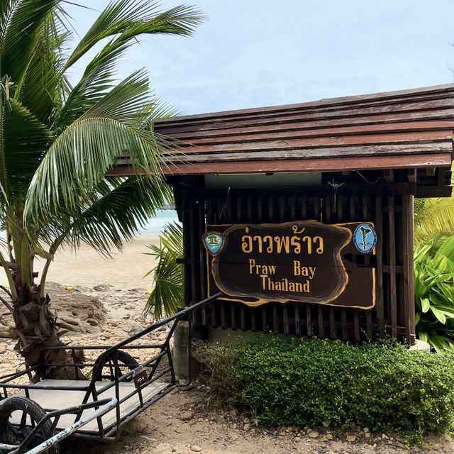 ピンクの海風と太陽に包まれる、Buzz Coco Clubで味わう非日常のサメット島時間🇹🇭