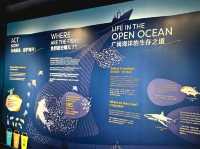 Experience the Ocean under the Big Blue Dome!
