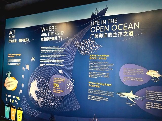 Experience the Ocean under the Big Blue Dome!