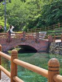 透明な池に映る空と緑💧自然がくれた癒しの名水スポット🌿