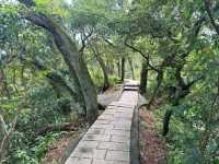 Quick Escape to Jingmei Mountain