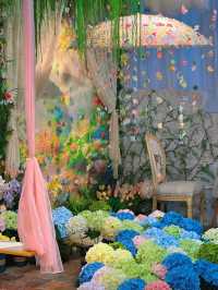🌸 Petal Rain at Mili Sky Garden Café, Quanzhou