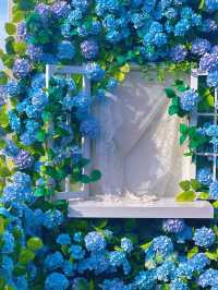 🦋 Cloud Sea Café – Xiamen’s Dreamy Flower Paradise with a View