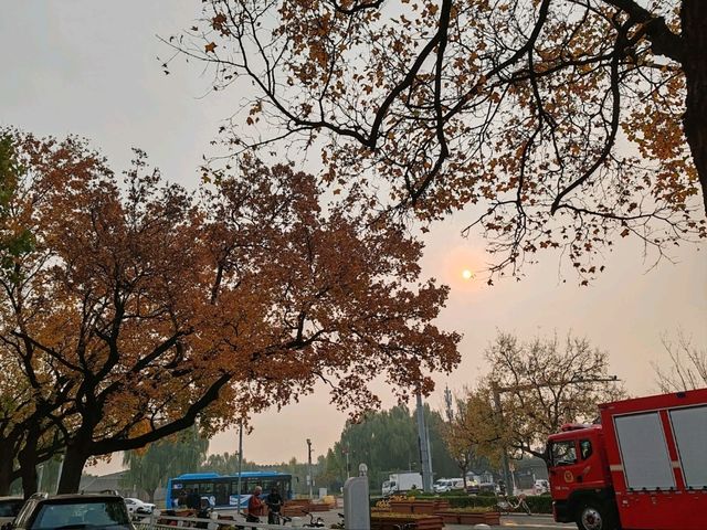 Autumn Hues of Beijing Autumn Hues of Beijing