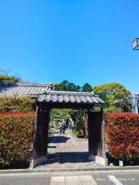สุ่มเครื่องราง 東叡山寛永寺開山堂 Ueno park