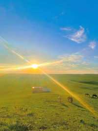 Nomadic Dreams: Life on Huitengxile's Rolling Plains