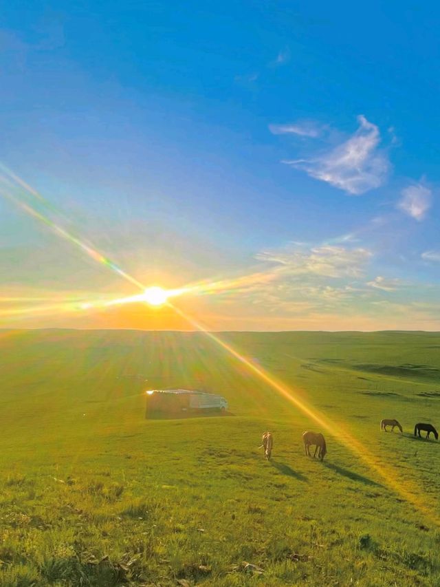 Nomadic Dreams: Life on Huitengxile's Rolling Plains Nomadic Dreams: Life on Huitengxile's Rolling Plains