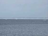 유빙둥둥 오호츠크해를 따라 달리는 유빙이야기호