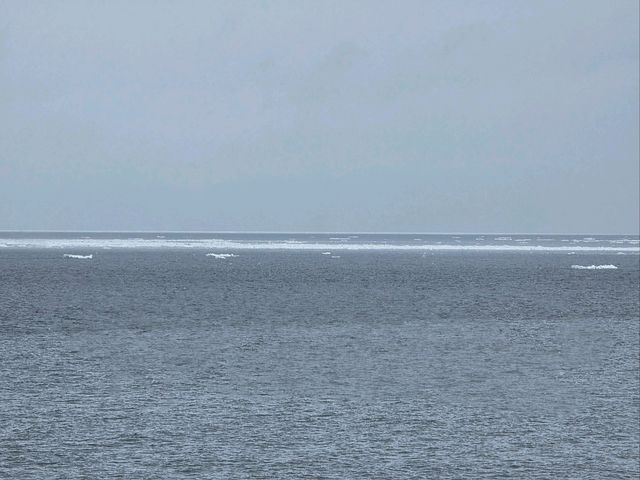 유빙둥둥 오호츠크해를 따라 달리는 유빙이야기호