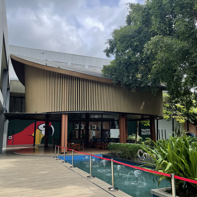 ☕ คาเฟ่อเมซอน (OASYS) สาขาวังน้อย – จุดพักเติมพลัง ☕ คาเฟ่อเมซอน (OASYS) สาขาวังน้อย – จุดพักเติมพลัง