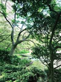 💧🏞️水と音がつなぐ非日常──品川・御殿山庭園の滝散歩