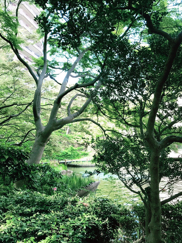 💧🏞️水と音がつなぐ非日常──品川・御殿山庭園の滝散歩 💧🏞️水と音がつなぐ非日常──品川・御殿山庭園の滝散歩