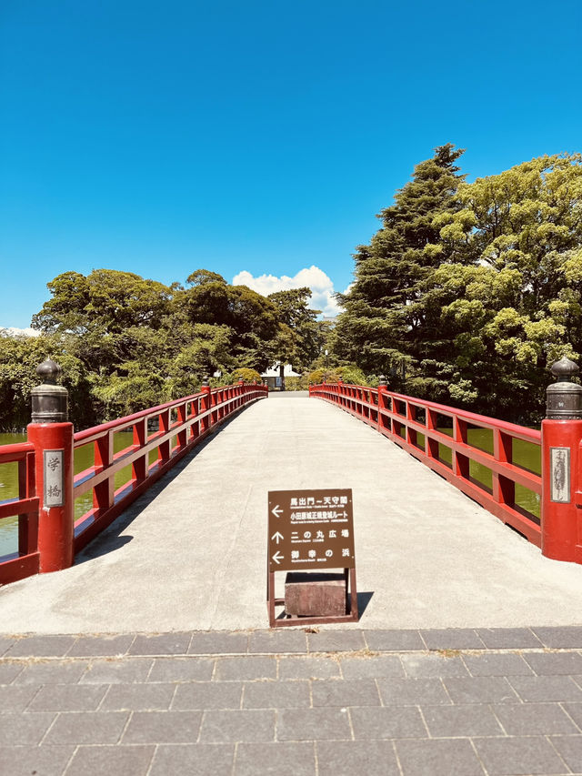 若沒有想過要到達某個地方, 那麼所有的風景都是目的地。 《 村上春樹 》 若沒有想過要到達某個地方, 那麼所有的風景都是目的地。 《 村上春樹 》