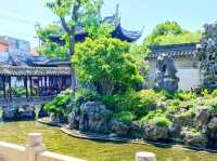 Wandering Through Yu Garden, Shanghai