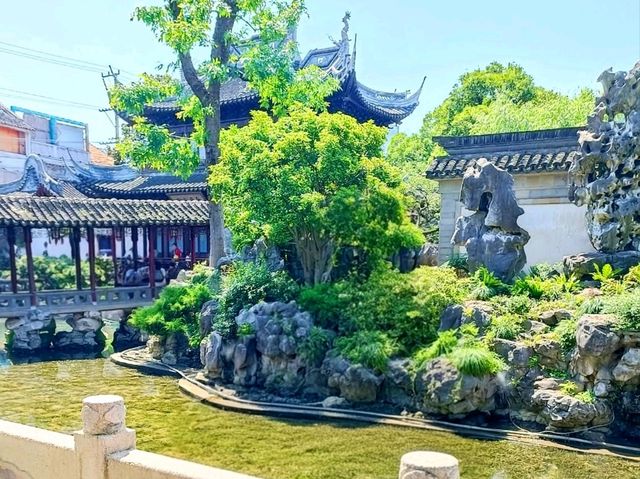 Wandering Through Yu Garden, Shanghai