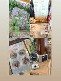 คาเฟ่เปิดใหม่ เชียงราย MUUSE CAFE&BAR CHIANGRAI