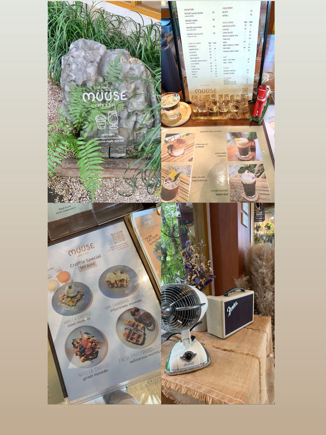 คาเฟ่เปิดใหม่ เชียงราย MUUSE CAFE&BAR CHIANGRAI