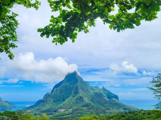 Tropical Paradise and Crystal Waters in Moorea