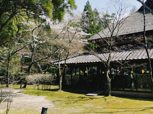 พาเที่ยวทะเลสาบในYufuin