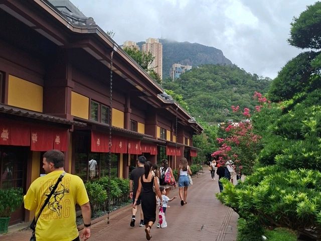 南蓮園池|鬧市中的中式庭園🌳|親子散步好去處🌟 南蓮園池|鬧市中的中式庭園🌳|親子散步好去處🌟