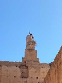 A Majestic Marvel: El Badi Palace