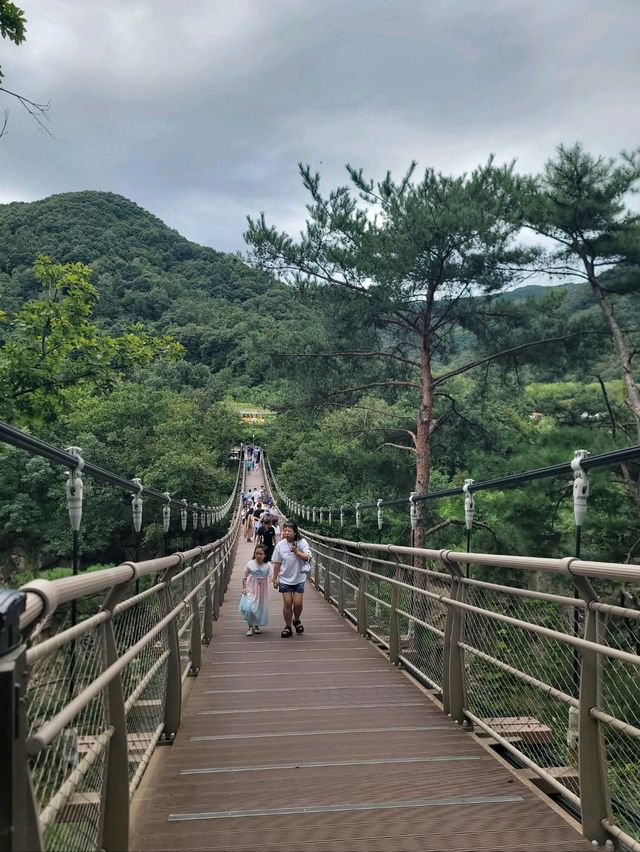 폭포와 황화코스모스 모두를 즐기는 연천여행지🧡