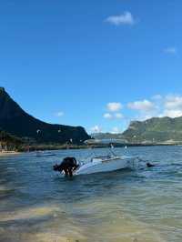 Unwinding on the Stunning Beaches of Mauritius