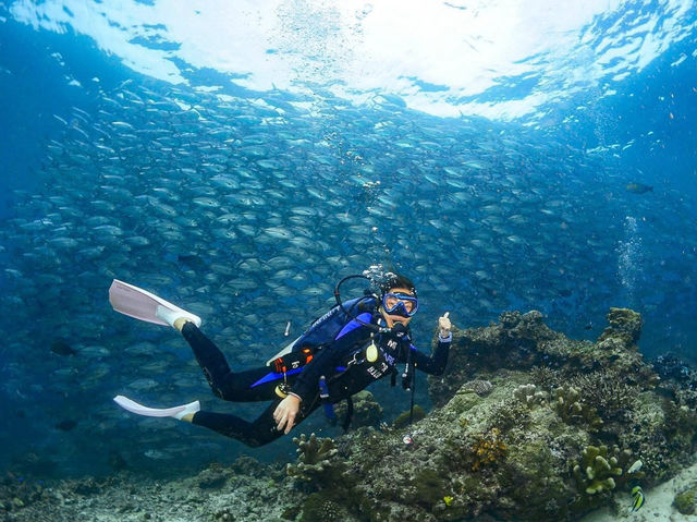 ดำน้ำที่ สิปาดัน สวรรค์ใต้น้ำ มาเลเซีย