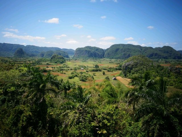🇨🇺 쿠바 비냘레스(Viñales) 🌿🏞️