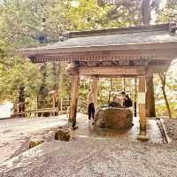 🏔「鳥居、五重塔與富士山同框，這就是日本最經典的風景。」
