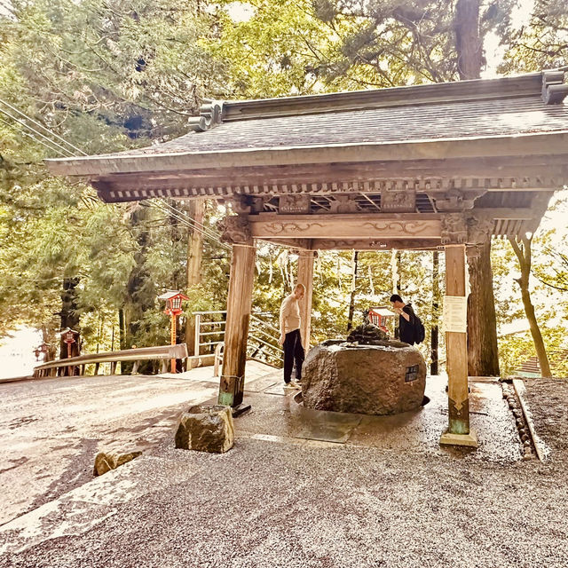 🏔「鳥居、五重塔與富士山同框，這就是日本最經典的風景。」