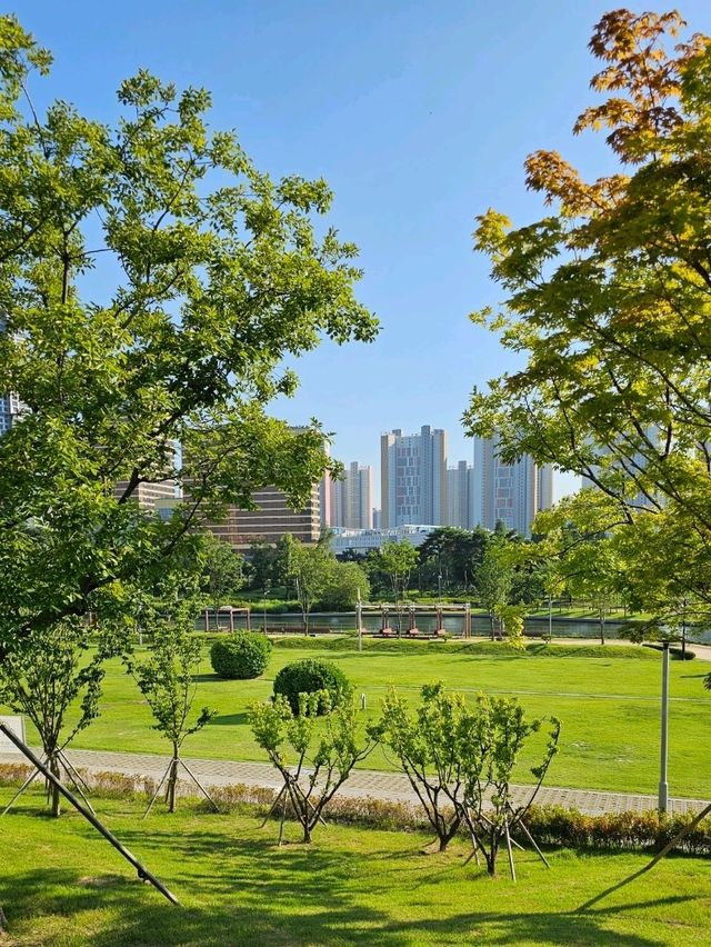 인천송도센트럴파크 공원 인천송도센트럴파크 공원