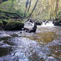 Mullinhassig Wood & Waterfalls, Aghavrin – Cork’s Wooded Waterfall Retreat