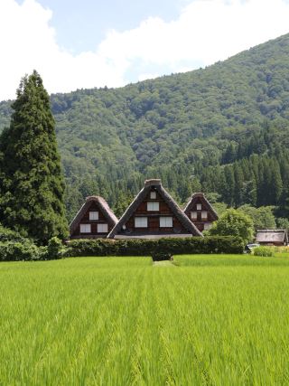 **Unforgettable Summer Stay in Hida, Nagoya**