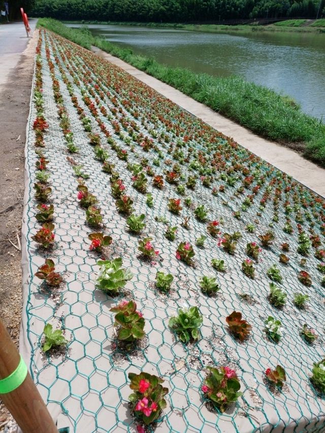 도심 속 자연 천국 🌿