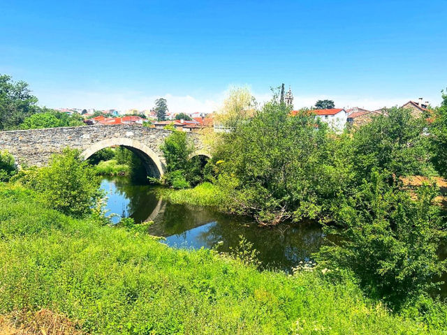 Discovering the Vibrant Spirit of Melide Discovering the Vibrant Spirit of Melide