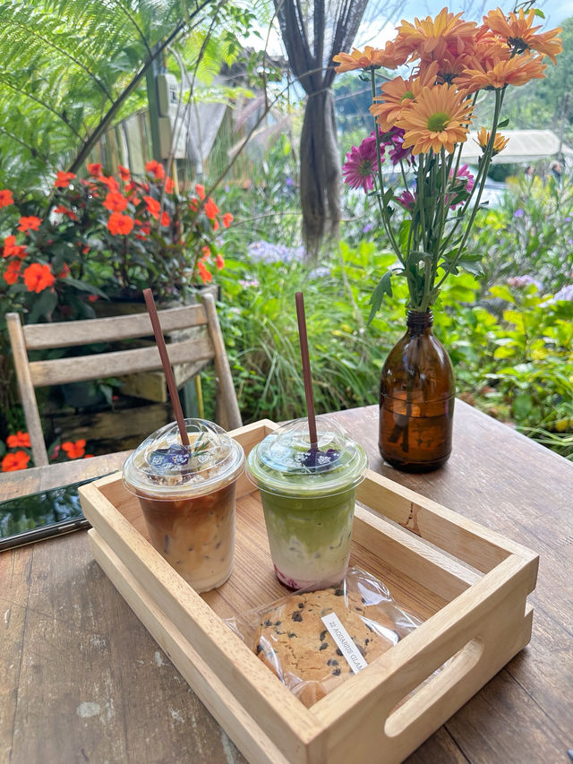 22 AQUARIUS Glamping Cafe