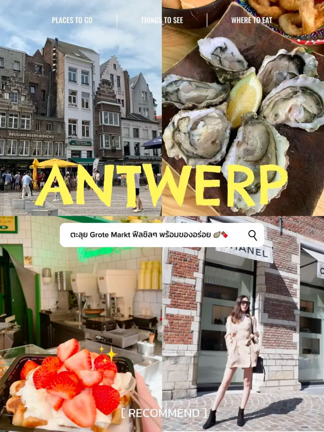1 Day in Antwerp เดินเล่น ชิม Belgium Waffle 🧇🌷