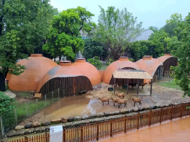台灣最古老的動物園——新竹動物園