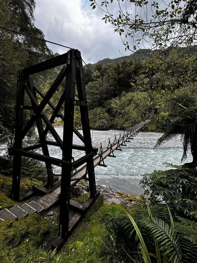Discovering the Majestic Fox Glacier in West Coast Discovering the Majestic Fox Glacier in West Coast