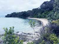 New Zealand Adventures : From Islands to Iconic Shores
