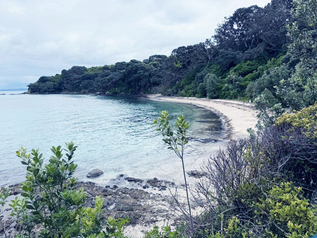 New Zealand Adventures : From Islands to Iconic Shores