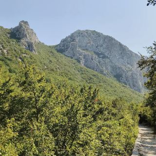 帕克勒尼察國家公園