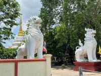 วัดนันตาราม บ้านดอนไชย ต.หย่วน อ.เชียงคำ 🙏
