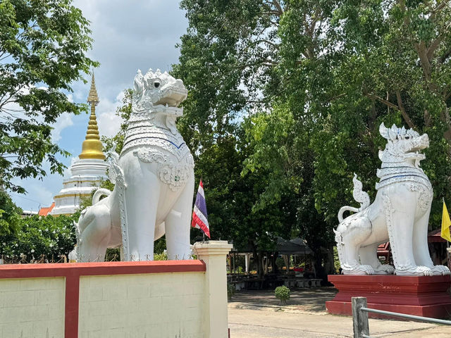 วัดนันตาราม บ้านดอนไชย ต.หย่วน อ.เชียงคำ 🙏