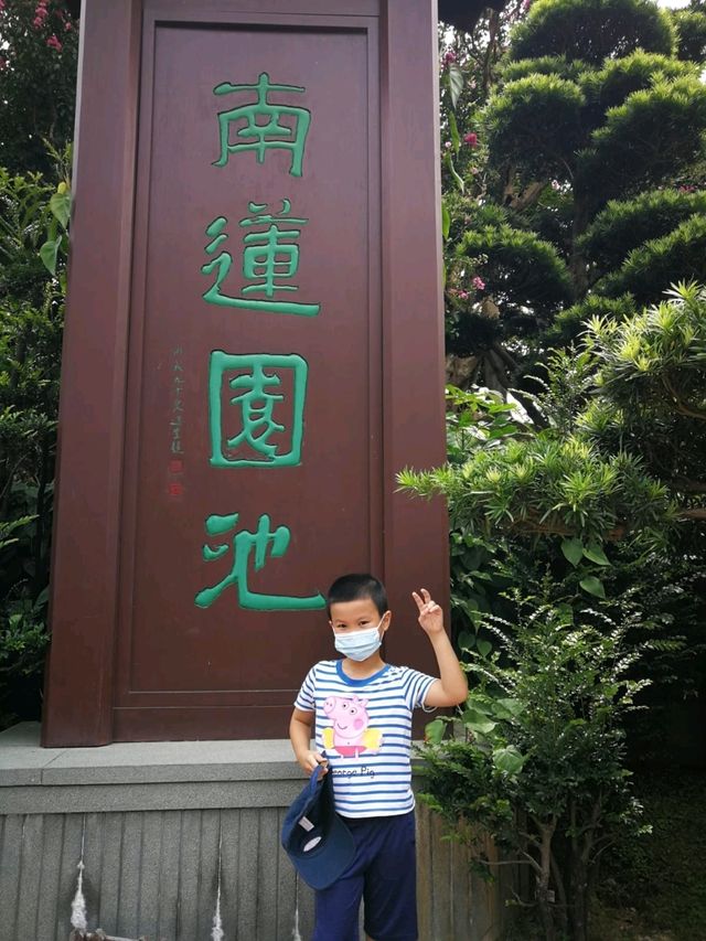 鬧市中靜心秘境分享|南蓮園池&志蓮淨苑 鬧市中靜心秘境分享|南蓮園池&志蓮淨苑