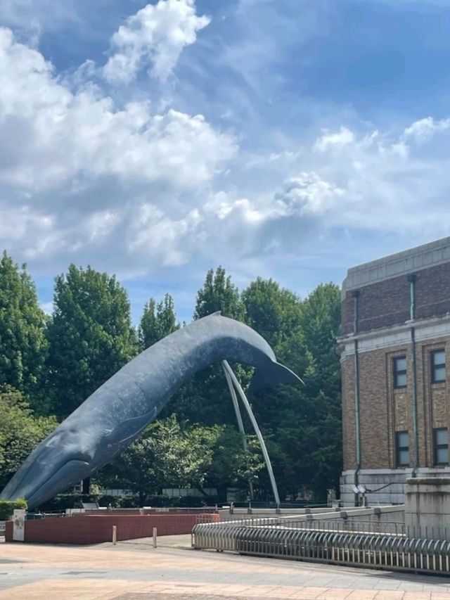 NATIONAL MUSEUM OF NATURE AND SCIENCE.