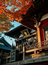 仙台🇯🇵城市樣貌